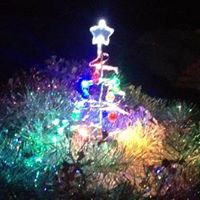 Donald Curtis Photo 22