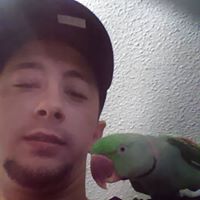 Steven Jacobson Photo 39 Steven Jacobson Photo 39