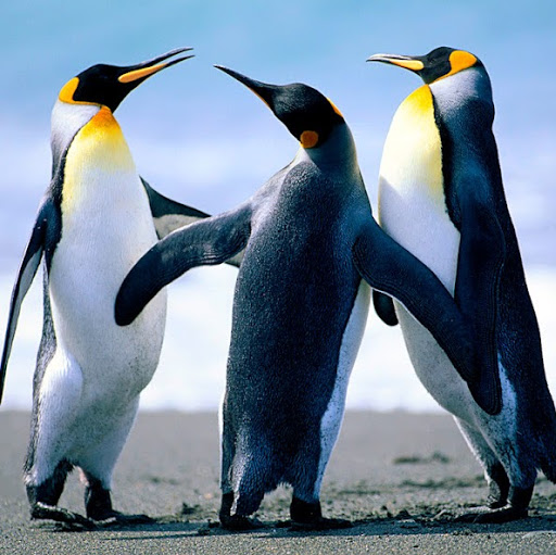 Bryan Vaughn Photo 37