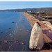 Peter Pizzo Photo 13