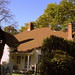 Stephen Cornelius Photo 11