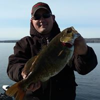 Michael Fox Photo 42