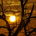Dawn Abbott Photo 13