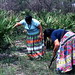 Mary Look Photo 15