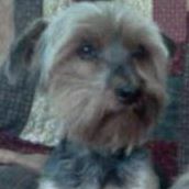 Jeanette Howell Photo 23