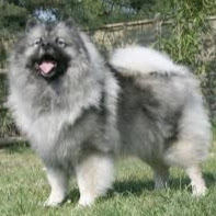 Elizabeth Livingston Photo 30