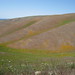 April Ridge Photo 9