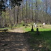 Crystal Hatfield Photo 24
