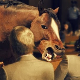 Kevin Horan Photo 41