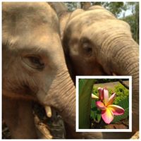 Vicki Campbell Photo 21