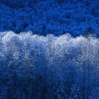 Hattie Bailey Photo 2