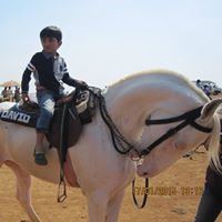 Siddharth Sheth Photo 7