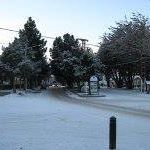 Daniel Gebhart Photo 13