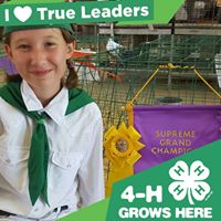 Kelly Vanderpool Photo 3