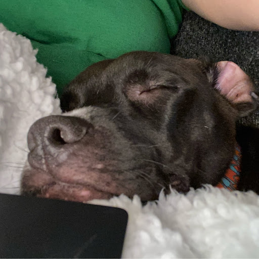 Sara Walters Photo 19