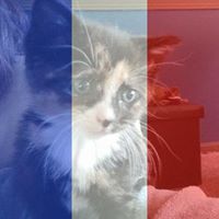 Hayley Martin Photo 32