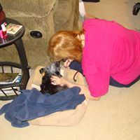 Linda Peck Photo 6