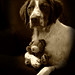 Teddy Bruce Photo 13