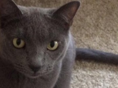 Cori Clements Photo 6