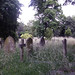 Benjamin Potter Photo 30