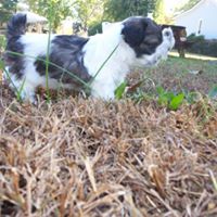 Randall Robbins Photo 18