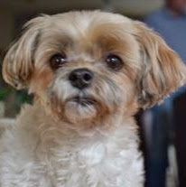 Diane Brooks Photo 23 Diane Brooks Photo 23