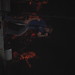 Rodney Peck Photo 12