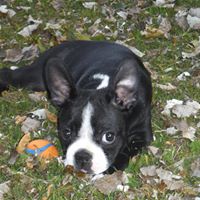 Julie Spencer Photo 7