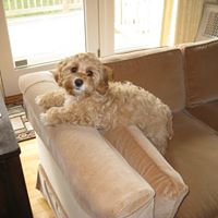 Dorothy Moran Photo 12