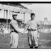 Joe York Photo 32