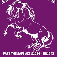 Elisabeth Mccarthy Photo 13