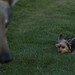 Caroline Huff Photo 24