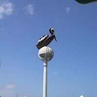 Vicki Gagnon Photo 3