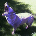 Philip Wolf Photo 18