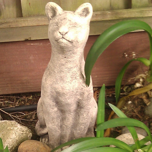 Nancy Cheney Photo 12