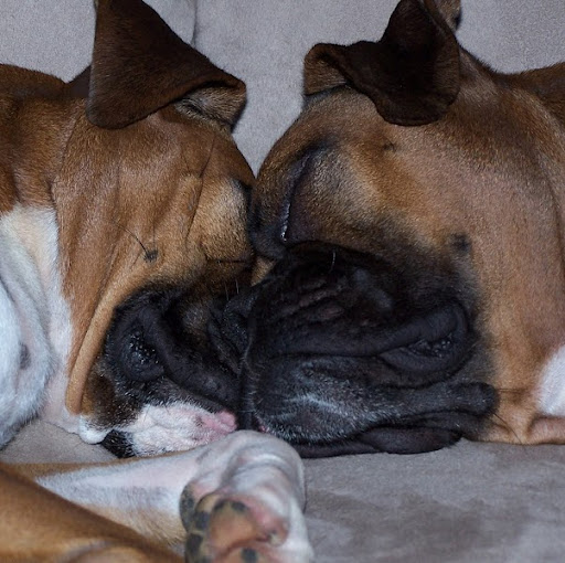 Julie Busch Photo 15