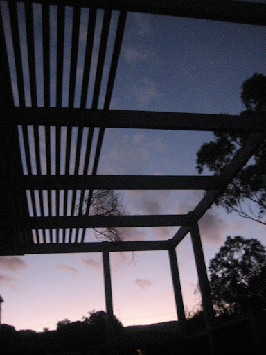Jenny Cook Photo 9