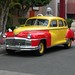 Terry Gold Photo 8