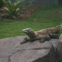 Tom Hubbard Photo 44