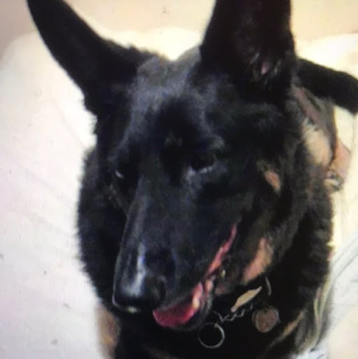 Janet Reisenwitz Photo 9