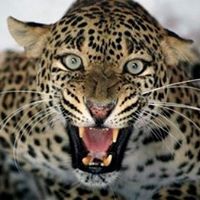 Trudy Devine Photo 4