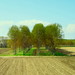 Paula Pace Photo 18