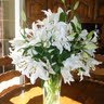 Sharon Mccarthy Photo 28