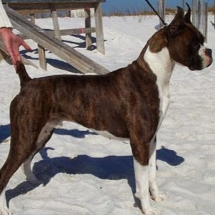 Cathy Knowles Photo 26