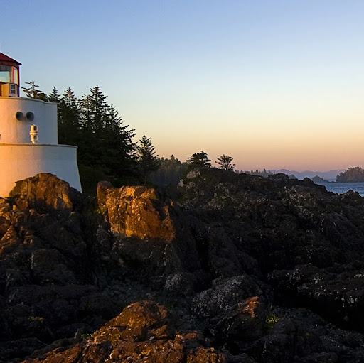 Angela Cronin Photo 15