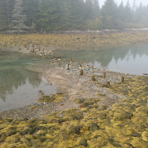 Zachary Wolfe Photo 12