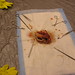 Jennifer Willett Photo 36