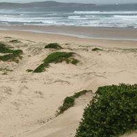 Shelley Sherman Photo 7