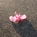 John Lutes Photo 34