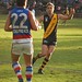 Andrew Hayes Photo 18